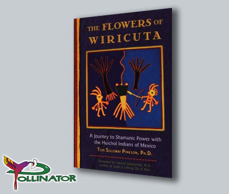 The Flowers of Wiricuta